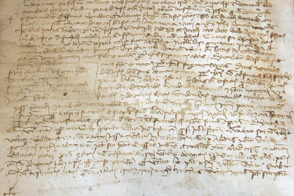 Archivio Immagini